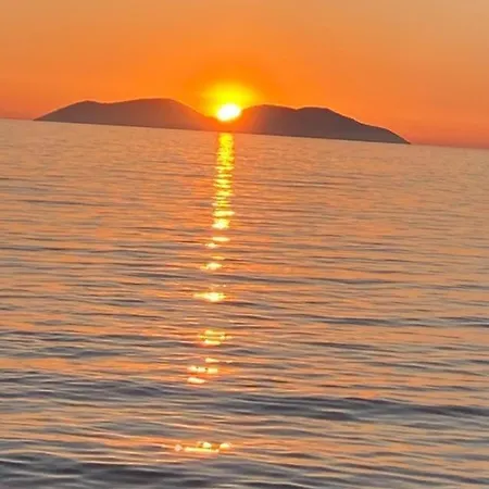 Alma's Vlore