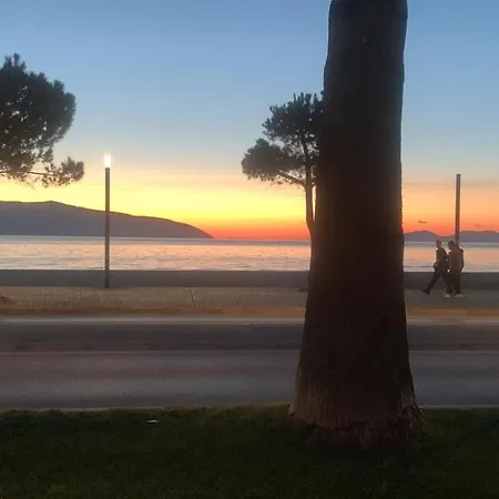 Alma's Vlore